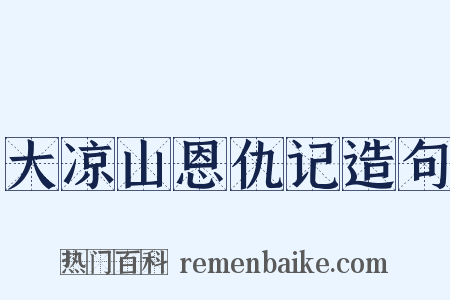 大凉山恩仇记造句是什么意思的图片